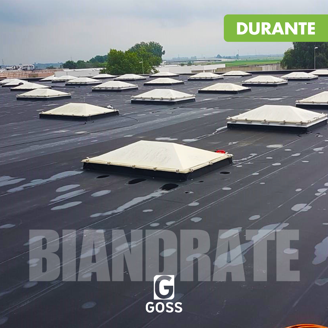 02-DURANTE-Struttura logistica a Biandrate (NO)