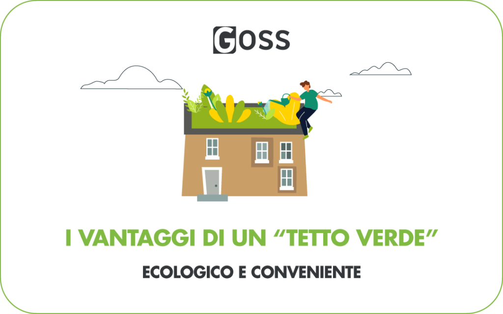 tetto verde